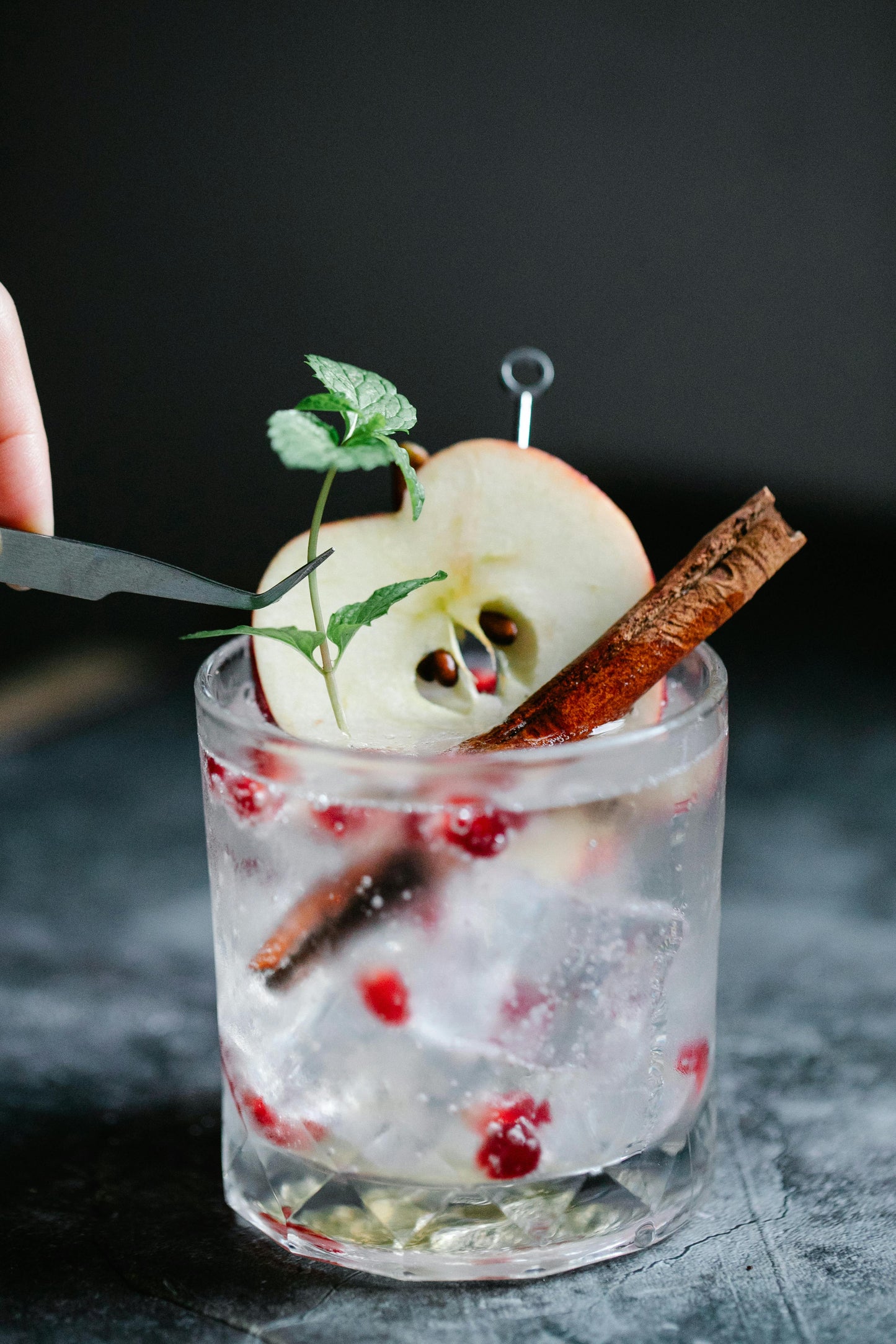 Dehydrated Apple